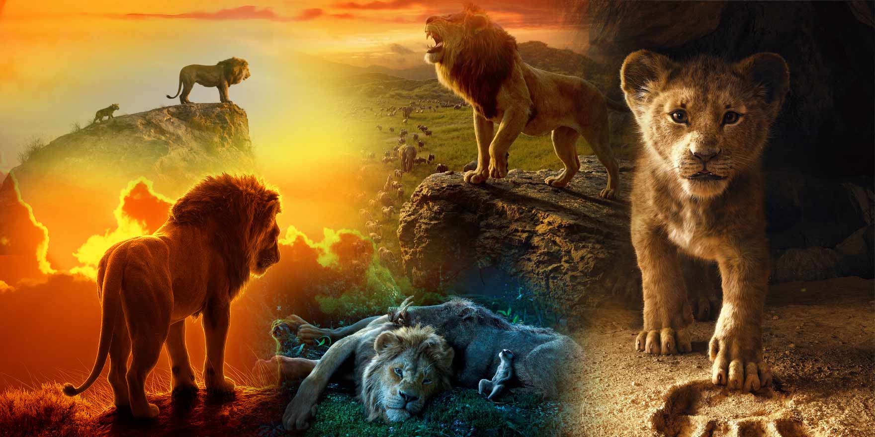 The Lion King - Header Image