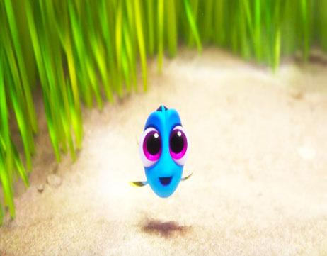 finding-dory-