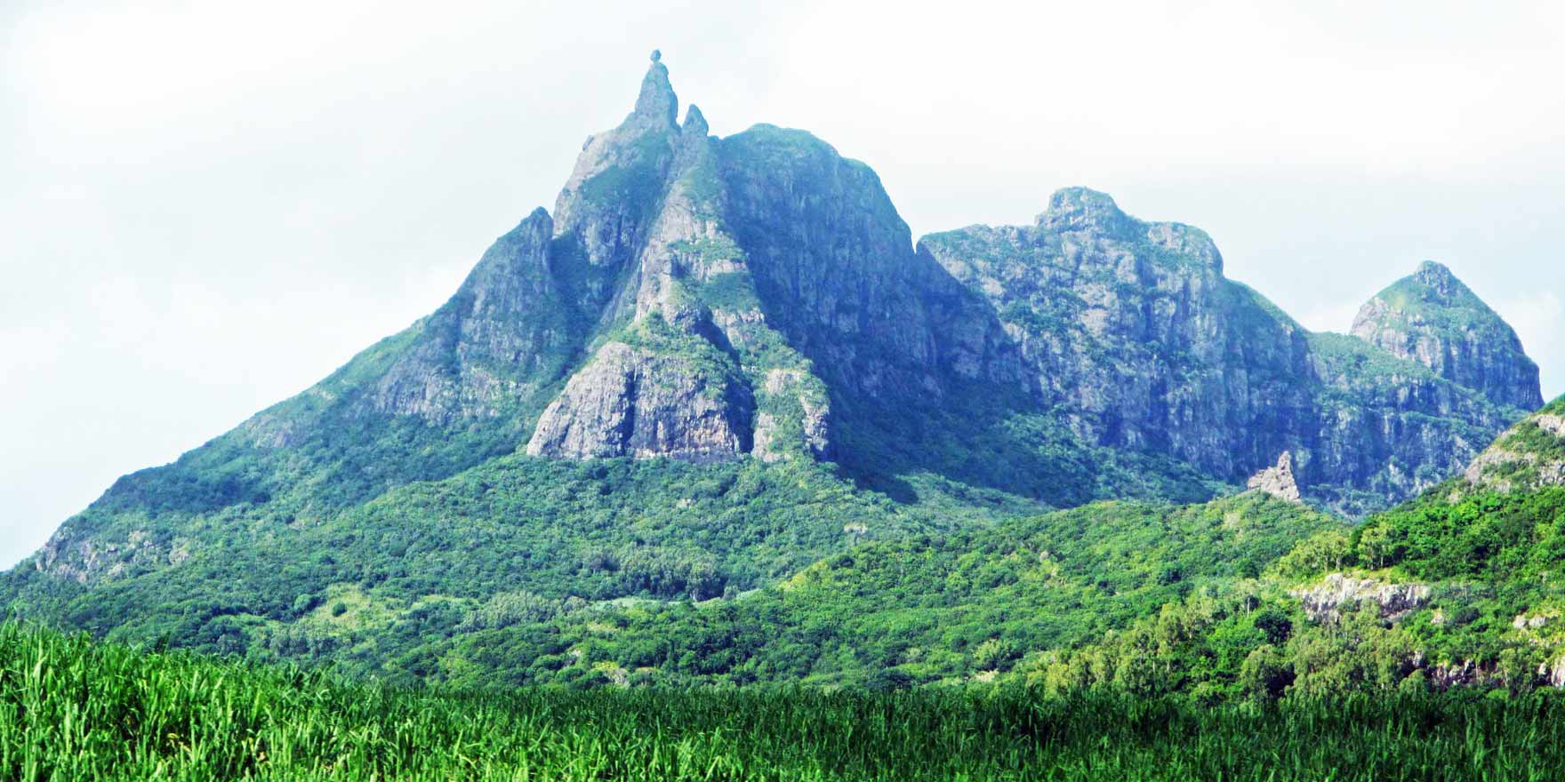 Mystic Mauritius – Nature Documentary - Header Image