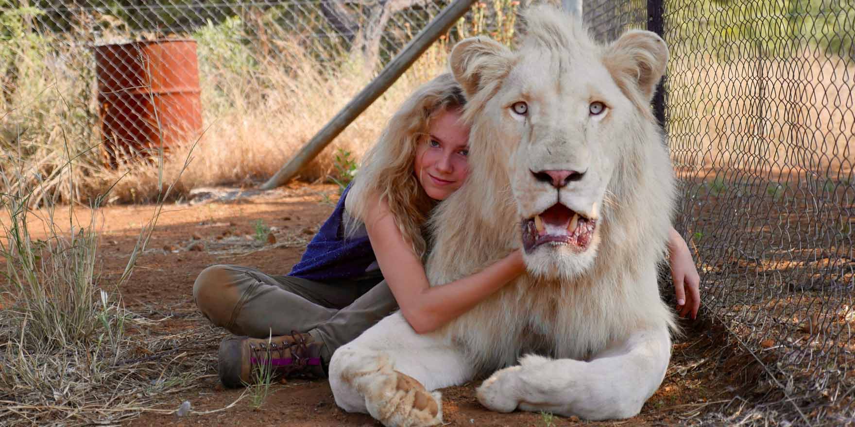 Mia et le Lion Blanc - Header Image