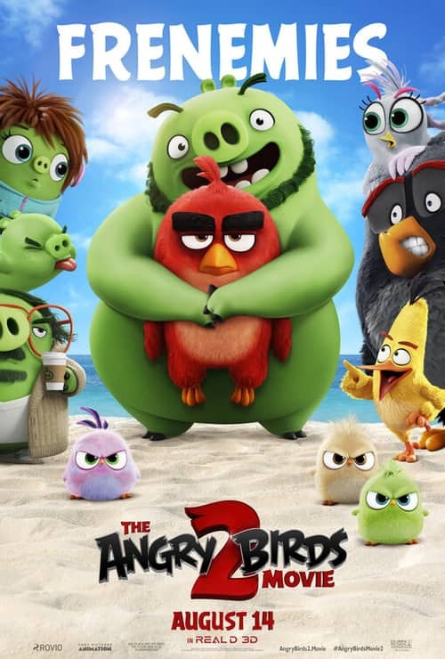 Angry Birds : Copains comme cochons - Poster