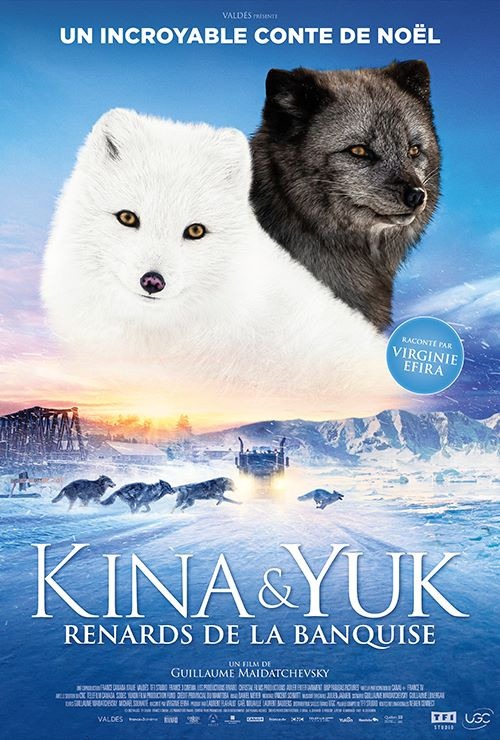 Kina & Yuk, renards de la banquise - Poster