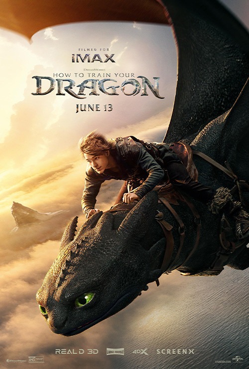How to Train Your Dragon - Poster
