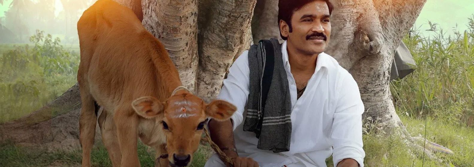 Idly Kadai - Header Image