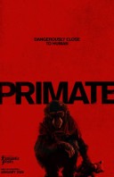 Primate