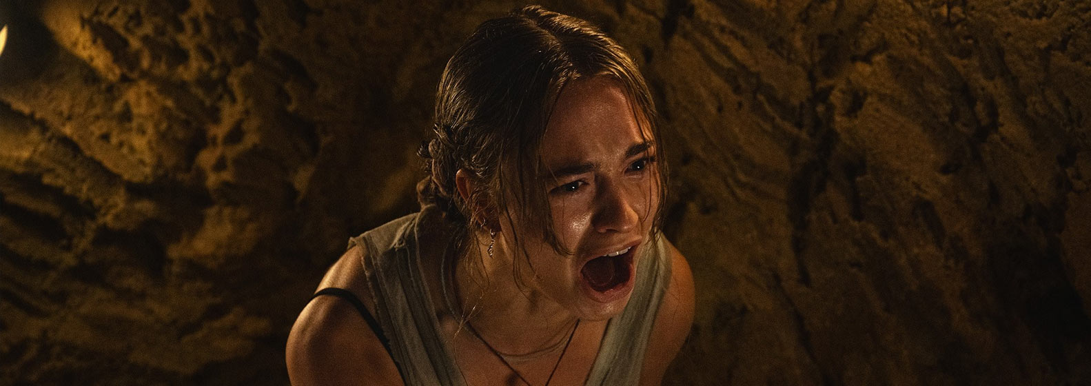 Primate - Header Image